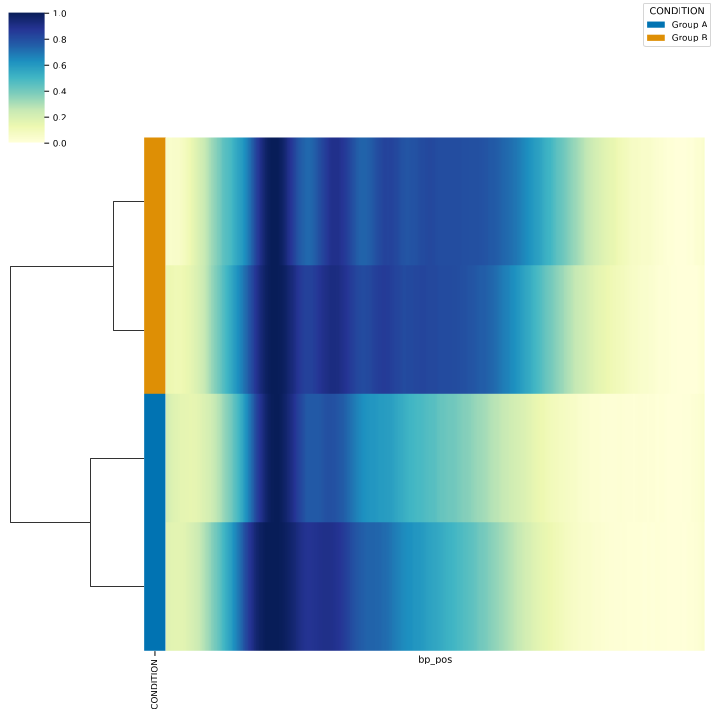_images/GELEXAMPLE_cluster.png